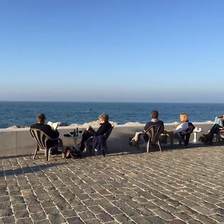 Le De La Digue 위상